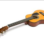 Acoustic Guitar